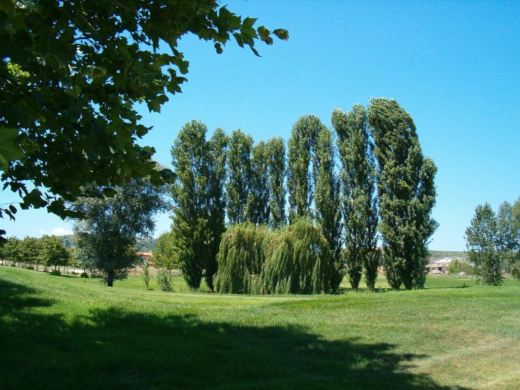 Villa Sul Mare Francavilla Al Mare Exteriör bild